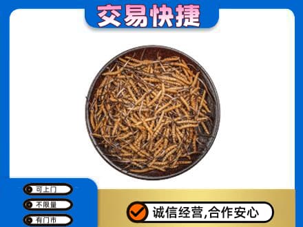 西安阎良区高价回收散虫草